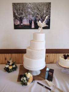 10177436_296423870520106_4471527672258729169_n